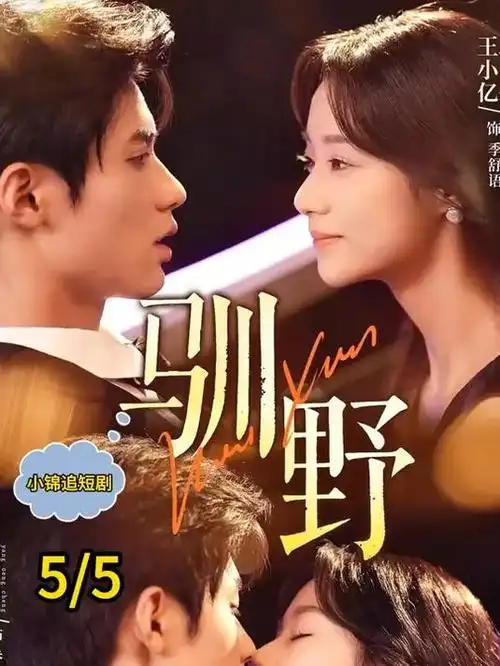 韩剧 汉江恋人 海报